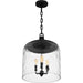 Myhouse Lighting Quoizel - QP6205MBK - Three Light Pendant - Quoizel Pendant - Matte Black