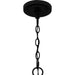 Myhouse Lighting Quoizel - SEY5026MBK - Five Light Chandelier - Seymour - Matte Black