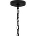 Myhouse Lighting Quoizel - TLM1907MBK - One Light Outdoor Hanging Lantern - Tilmore - Matte Black