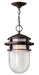 Myhouse Lighting Hinkley - 1952VZ - LED Hanging Lantern - Reef - Victorian Bronze