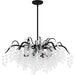 Myhouse Lighting Quoizel - MAP5028EK - Six Light Chandelier - Maple - Earth Black