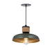 Myhouse Lighting Maxim - 22492JU - One Light Pendant - Bingham - June Bug