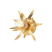 Myhouse Lighting Maxim - 2880GL - One Light Wall Sconce - Paloma - Gold Leaf