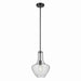 Myhouse Lighting Kichler - 42141BKCS - One Light Pendant - Everly - Black