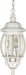 Myhouse Lighting Nuvo Lighting - 60-894 - Three Light Hangng Lantern - Central Park - White