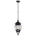 Myhouse Lighting Nuvo Lighting - 60-896 - Three Light Hangng Lantern - Central Park - Textured Black