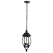 Myhouse Lighting Nuvo Lighting - 60-896 - Three Light Hangng Lantern - Central Park - Textured Black