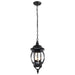 Myhouse Lighting Nuvo Lighting - 60-896 - Three Light Hangng Lantern - Central Park - Textured Black