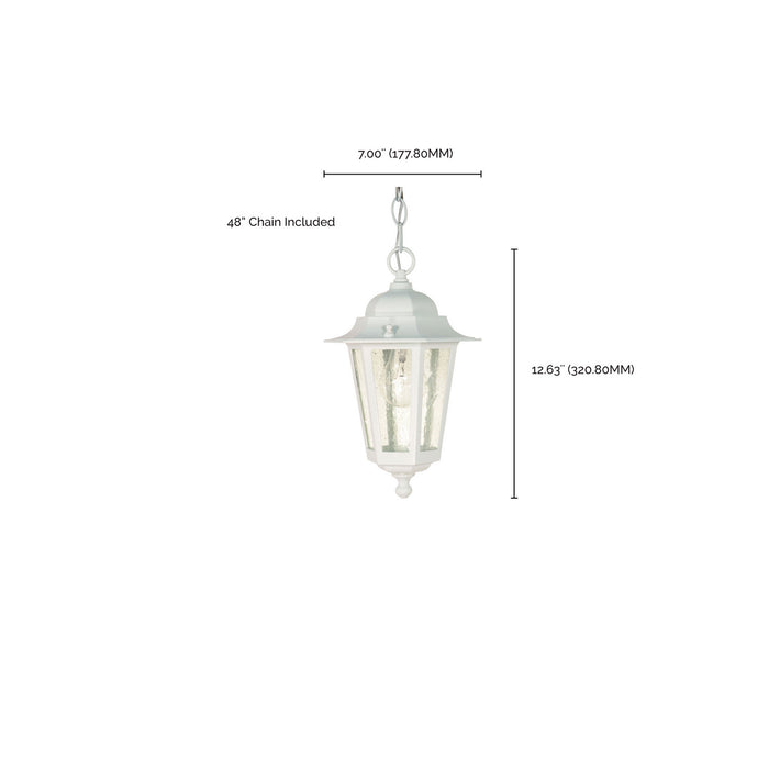 Myhouse Lighting Nuvo Lighting - 60-991 - One Light Hanging Lantern - Cornerstone - White