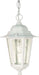 Myhouse Lighting Nuvo Lighting - 60-991 - One Light Hanging Lantern - Cornerstone - White