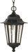 Myhouse Lighting Nuvo Lighting - 60-993 - One Light Hanging Lantern - Cornerstone - Textured Black