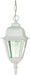 Myhouse Lighting Nuvo Lighting - 60-487 - One Light Hanging Lantern - Briton - White