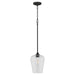 Myhouse Lighting Quorum - 3313-59 - One Light Pendant - Raymond - Matte Black