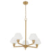 Myhouse Lighting Quorum - 6221-5-80 - Five Light Chandelier - Cassini - Aged Brass