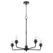 Myhouse Lighting Quorum - 6313-5-59 - Five Light Chandelier - Raymond - Matte Black