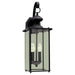 Myhouse Lighting Generation Lighting - 8468-12 - Two Light Outdoor Wall Lantern - Jamestowne - Black