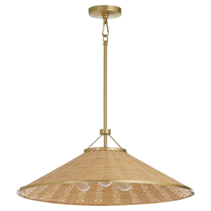 Myhouse Lighting Quorum - 830-3-80 - Three Light Pendant - Cona - Aged Brass