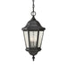 Myhouse Lighting Generation Lighting. - OL5911EN/BK - Three Light Outdoor Pendant - Martinsville - Black