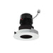Myhouse Lighting Nora Lighting - NPRLV-4RPH30XBMPW - LED Pinhole Retrofit - Black / Matte Powder White