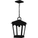 Myhouse Lighting Quoizel - HUK1910EK - One Light Outdoor Hanging Lantern - Huck - Earth Black