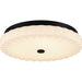 Myhouse Lighting Quoizel - QFL6787MBK - LED Flush Mount - Cherbury - Matte Black