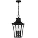 Myhouse Lighting Quoizel - QTN1510EK - Four Light Pendant - Quentin - Earth Black