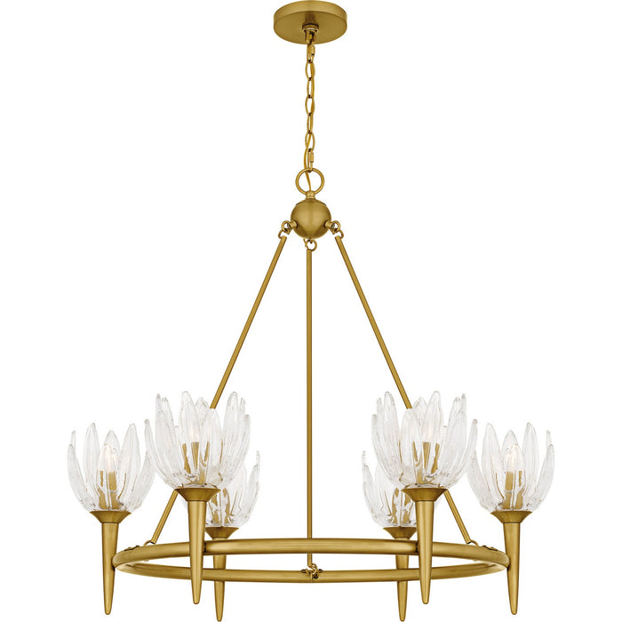 Myhouse Lighting Quoizel - SHA5032BRG - Six Light Chandelier - Shea - Brushed Gold