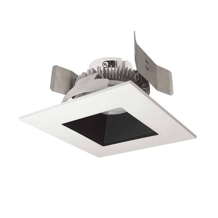 Myhouse Lighting Nora Lighting - NLCBC2-556TWBW/10 - Retrofit Reflector - Black / White