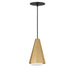 Myhouse Lighting Maxim - 10811SWBKAB - One Light Pendant - Rizzo - Black / Antique Brass