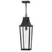 Myhouse Lighting Hinkley - 28892BK - LED Hanging Lantern - Georgetown - Black