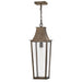 Myhouse Lighting Hinkley - 28892BU - LED Hanging Lantern - Georgetown - Burnished Bronze