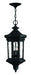 Myhouse Lighting Hinkley - 1602MB - LED Hanging Lantern - Raley - Museum Black