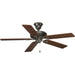 Myhouse Lighting Progress Lighting - P2521-20 - 52"Ceiling Fan - Airpro Signature - Antique Bronze