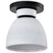 Myhouse Lighting Nuvo Lighting - 60-8011 - Flush Mount - Collins - Matte Black