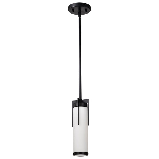 Myhouse Lighting Nuvo Lighting - 60-8053 - Mini Pendant - Roselle - Matte Black
