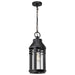 Myhouse Lighting Nuvo Lighting - 60-8104 - One Light Hanging Lantern - Wilton - Matte Black