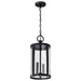 Myhouse Lighting Nuvo Lighting - 60-8115 - Two Light Hanging Lantern - Broadstone - Matte Black
