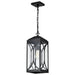 Myhouse Lighting Nuvo Lighting - 60-8125 - One Light Hanging Lantern - Oaklyn - Matte Black