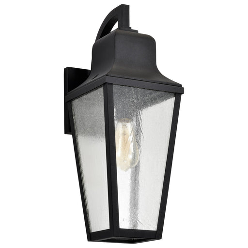 Myhouse Lighting Nuvo Lighting - 60-8133 - One Light Wall Lantern - Lawrence - Matte Black