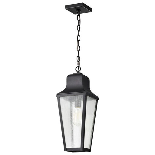 Myhouse Lighting Nuvo Lighting - 60-8135 - One Light Hanging Lantern - Lawrence - Matte Black