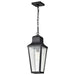 Myhouse Lighting Nuvo Lighting - 60-8135 - One Light Hanging Lantern - Lawrence - Matte Black