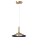 Myhouse Lighting Nuvo Lighting - 62-2091 - LED Pendant - Corrine - Burnished Brass