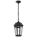 Myhouse Lighting Nuvo Lighting - 62-5944 - LED Pendant - East River - Matte Black