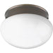 Myhouse Lighting Progress Lighting - P3408-20 - One Light Flush Mount - Fitter - Antique Bronze