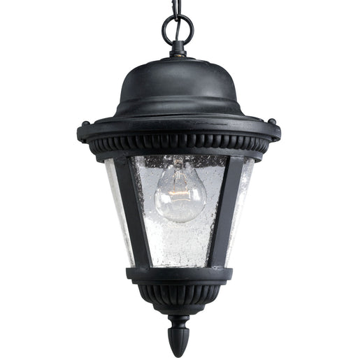 Myhouse Lighting Progress Lighting - P5530-31 - One Light Hanging Lantern - Westport - Textured Black