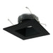 Myhouse Lighting Nora Lighting - NLCB2-65620CDBB - LED Dedicated High - Black