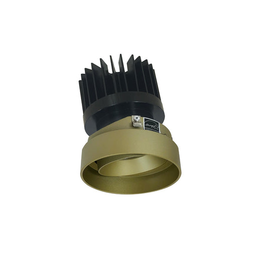 Myhouse Lighting Nora Lighting - NIO-4RTLACDXCH/HL - LED Trimless - Champagne Haze Adjustable / Champagne Haze Reflector
