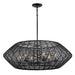 Myhouse Lighting Hinkley - 10386BK - LED Chandelier - Luca - Black