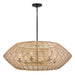 Myhouse Lighting Hinkley - 10386BK-CML - LED Chandelier - Luca - Black