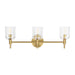 Myhouse Lighting Visual Comfort Studio - TFV1003BBS - Three Light Vanity - Hartley - Burnished Brass